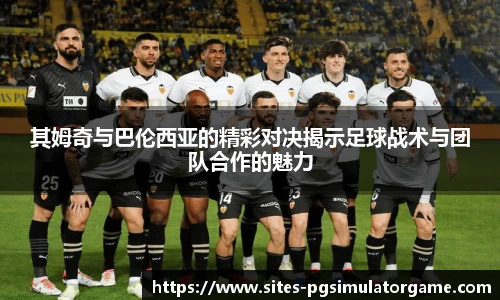 PG模拟器官网