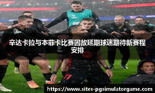 辛达卡拉与本菲卡比赛因故延期球迷期待新赛程安排